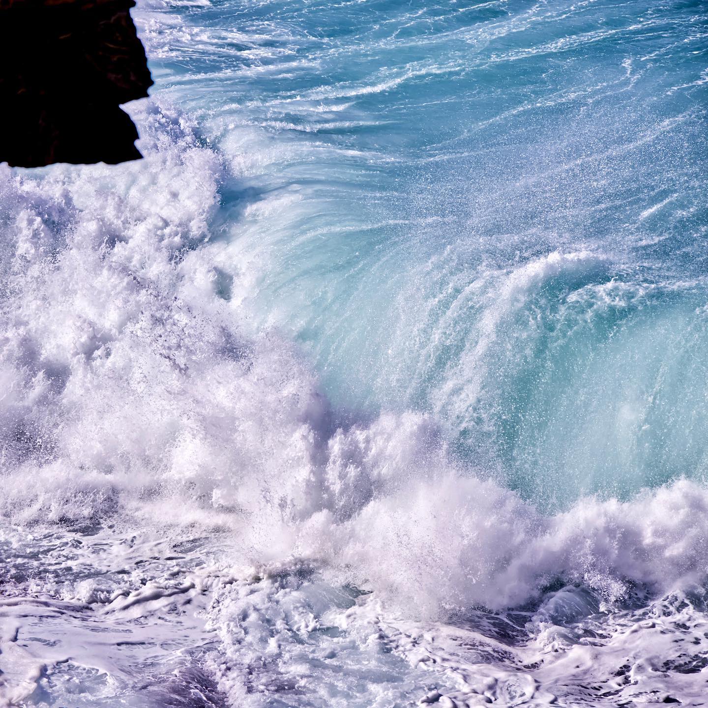 Click to enlarge the photograph Photo 203 from Igor Maric's photography collection