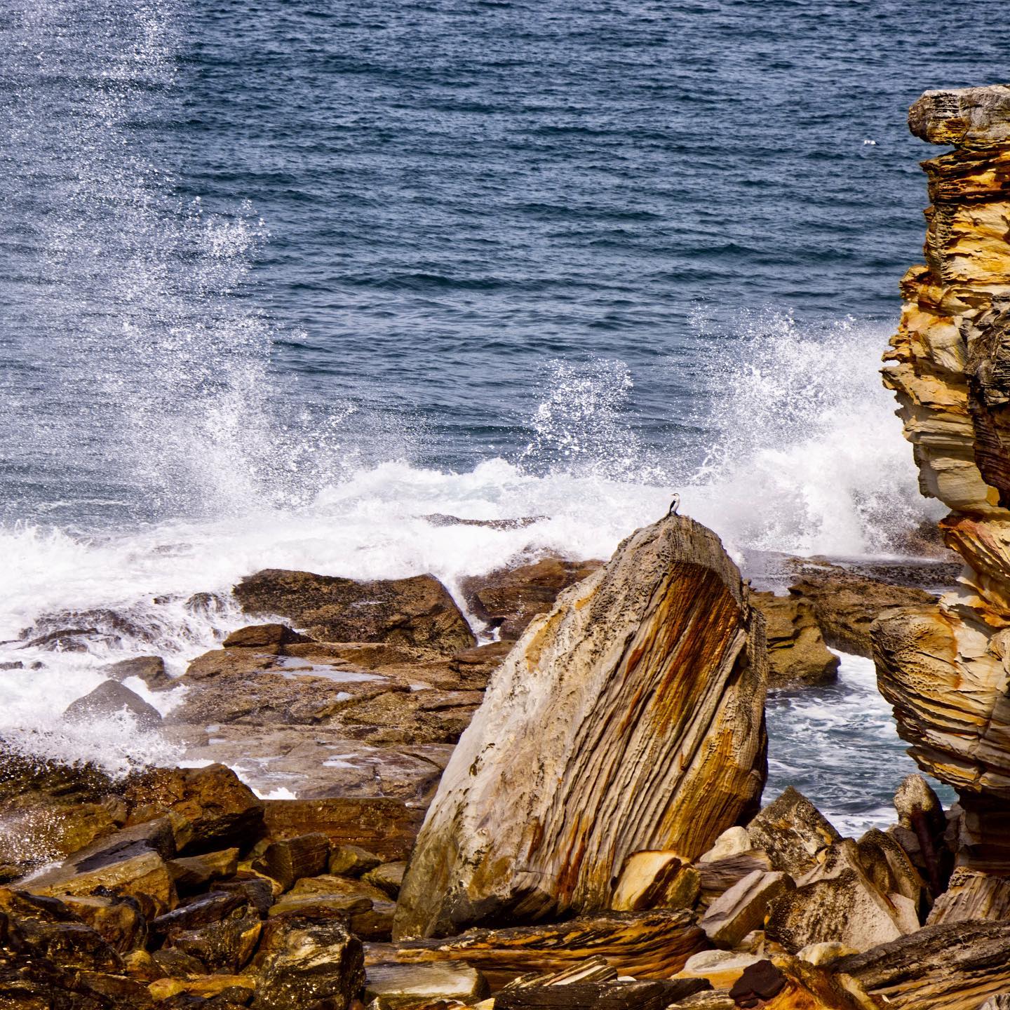 Click to enlarge the photograph Photo 202 from Igor Maric's photography collection