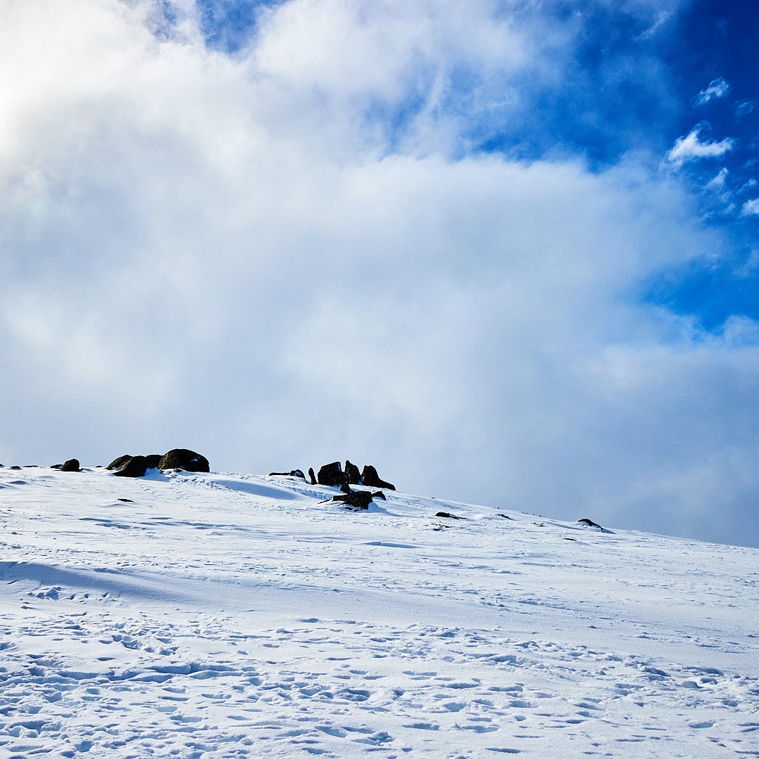 Click to enlarge the photograph Photo 186 from Igor Maric's photography collection