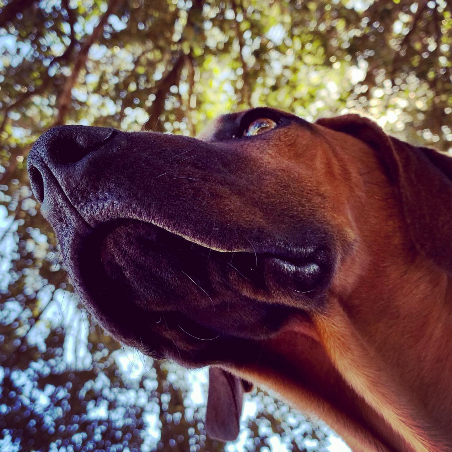 Click to enlarge the photograph Photo 173 from Igor Maric's photography collection