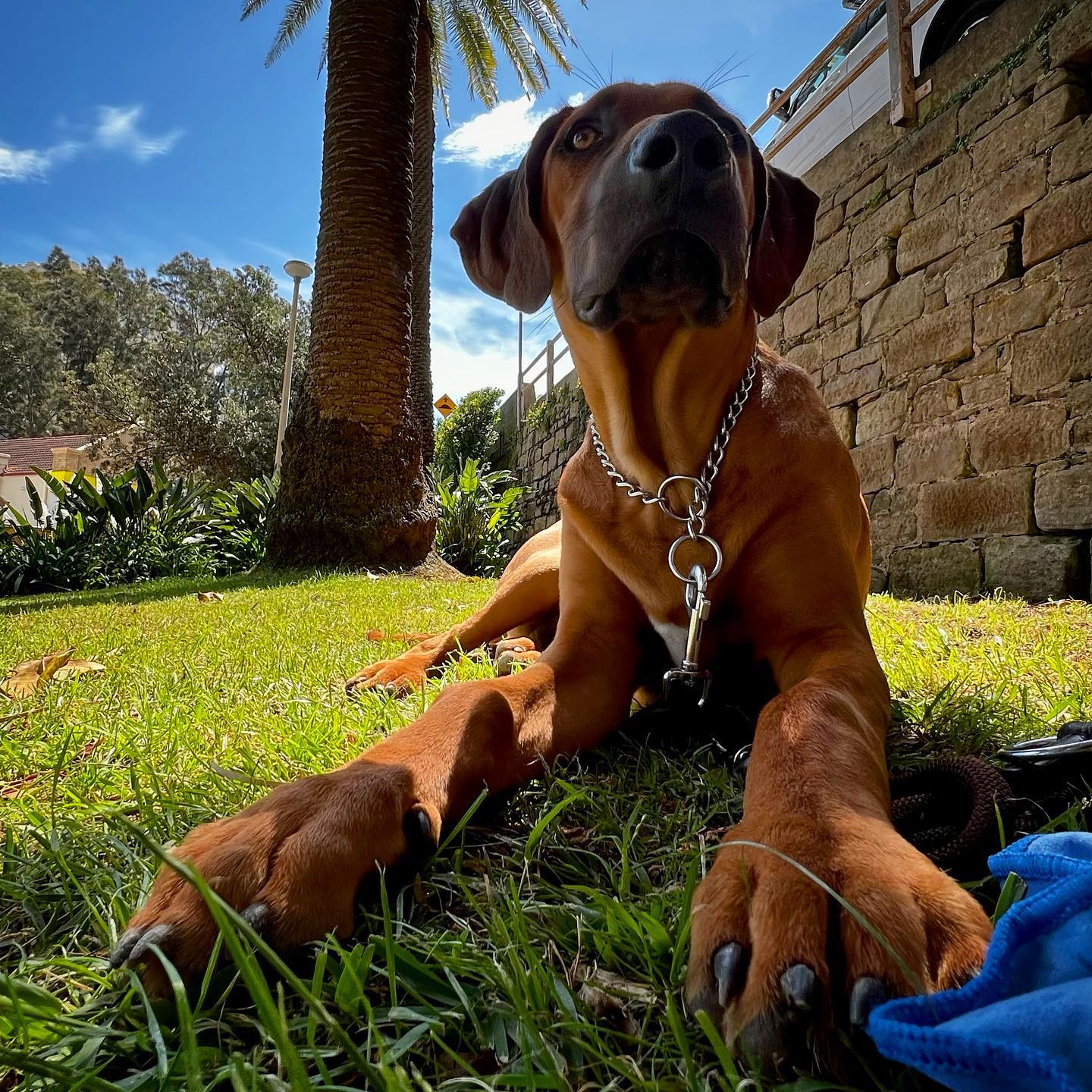 Click to enlarge the photograph Photo 172 from Igor Maric's photography collection