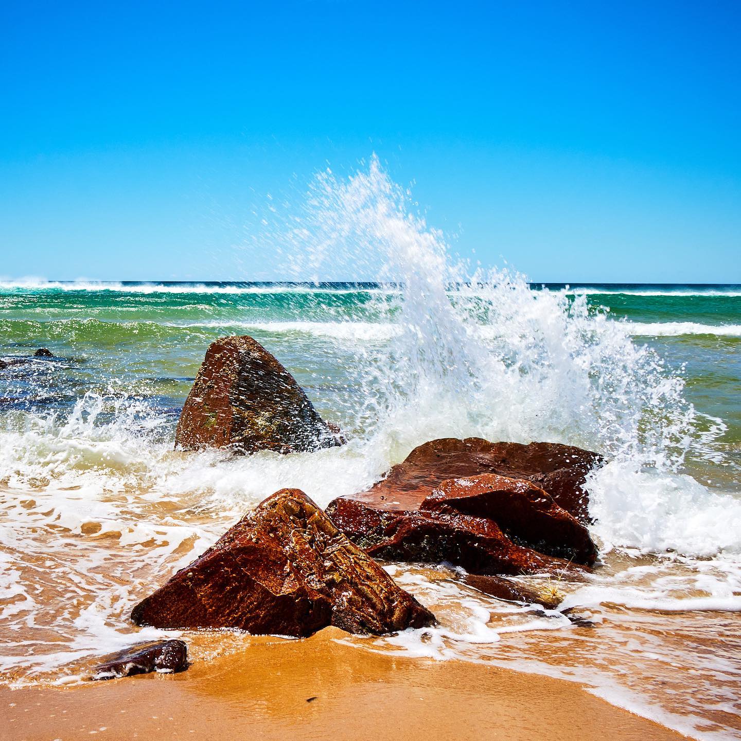 Click to enlarge the photograph Photo 168 from Igor Maric's photography collection