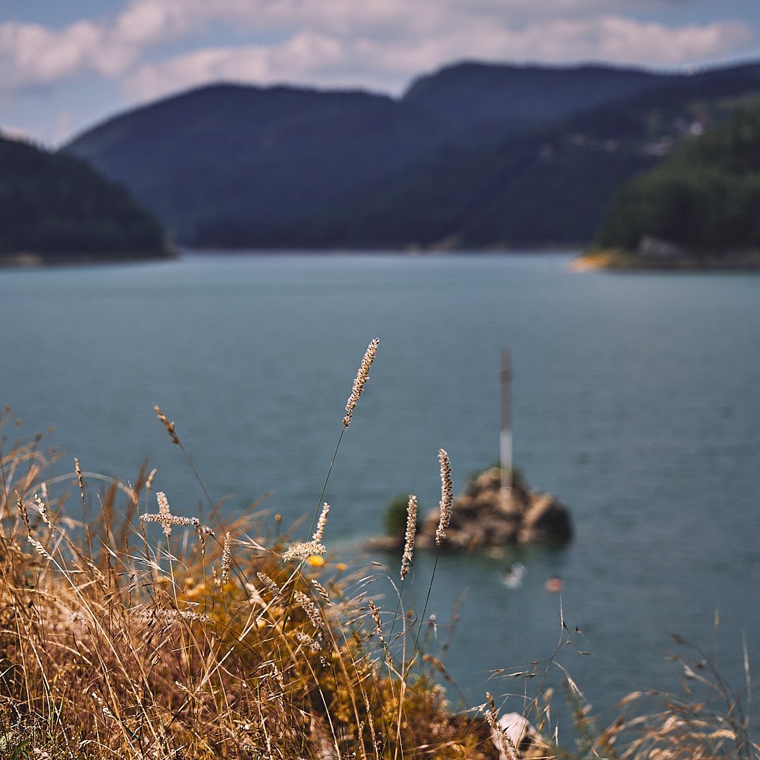 Click to enlarge the photograph Photo 153 from Igor Maric's photography collection