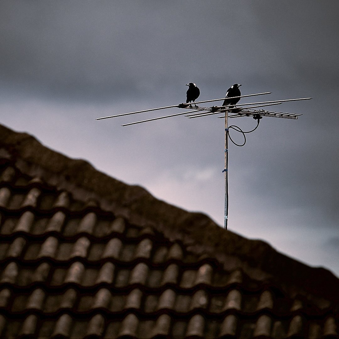 Click to enlarge the photograph Photo 142 from Igor Maric's photography collection