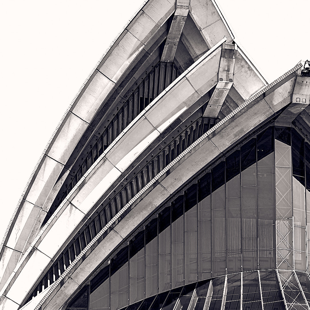 Click to enlarge the photograph Photo 104 from Igor Maric's photography collection