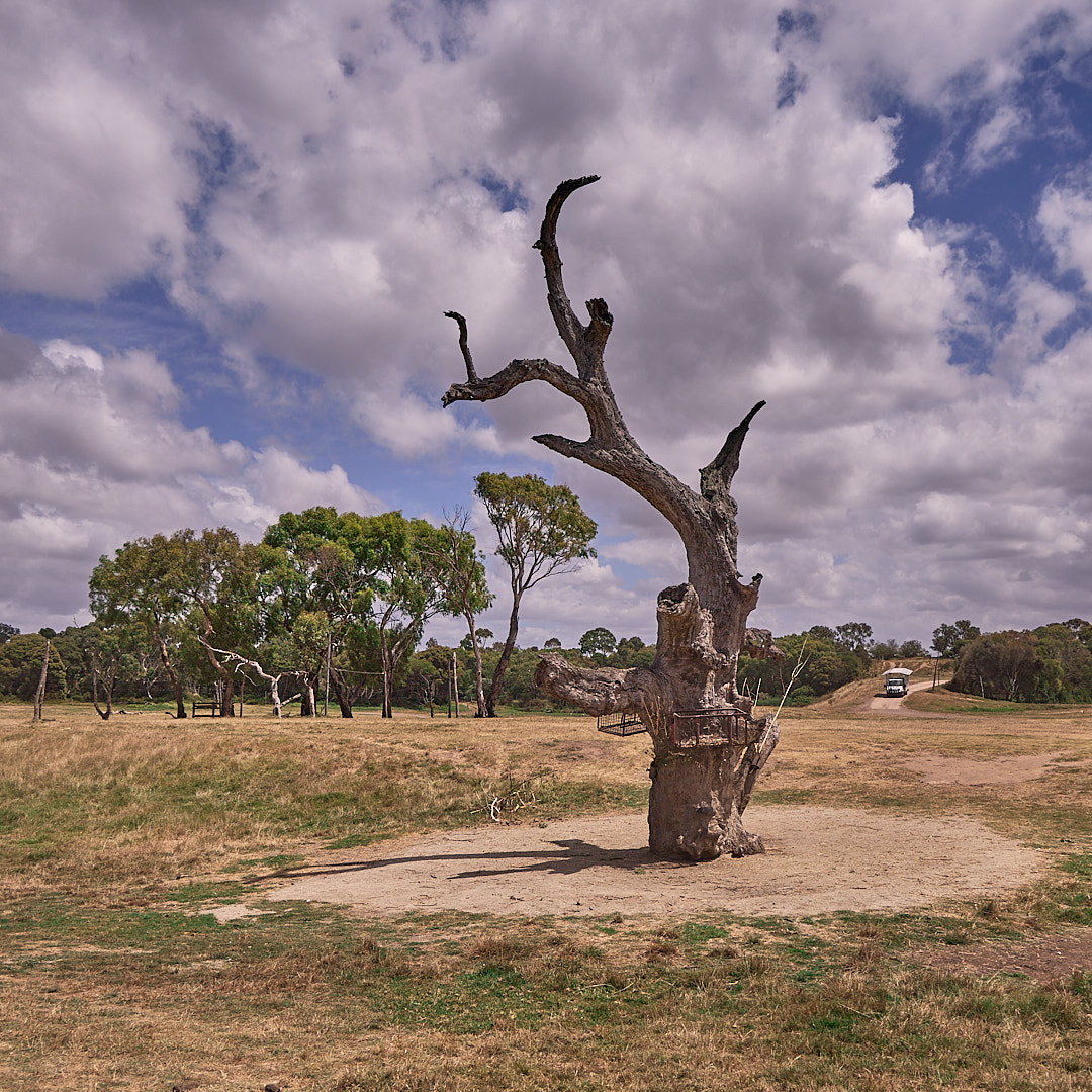 Click to enlarge the photograph Photo 101 from Igor Maric's photography collection