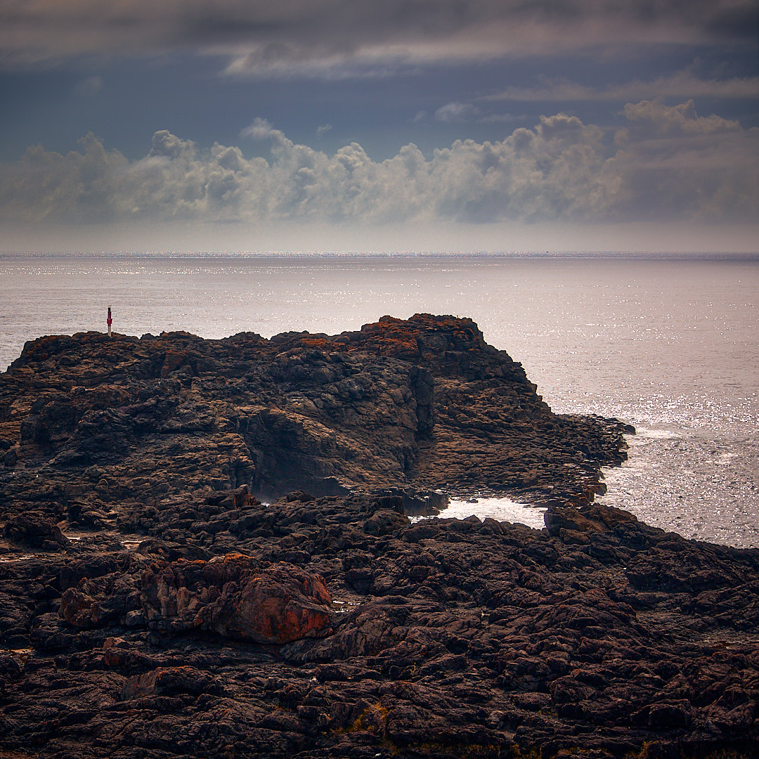 Click to enlarge the photograph Photo 85 from Igor Maric's photography collection