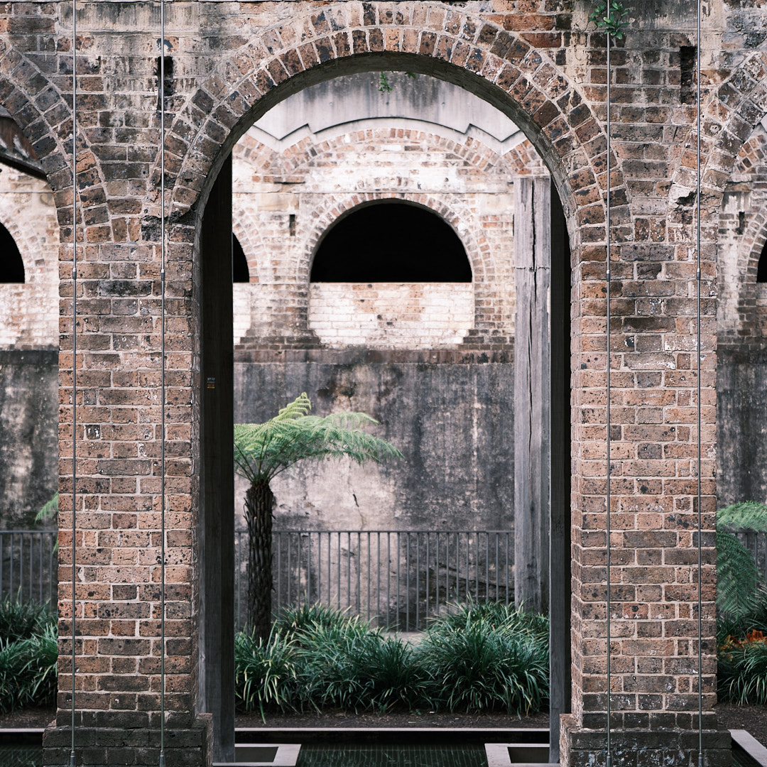 Click to enlarge the photograph Photo 81 from Igor Maric's photography collection