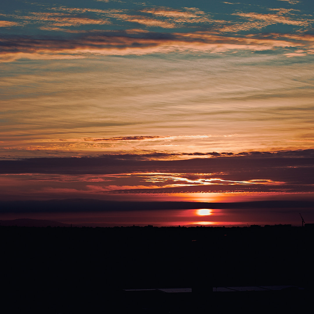 Click to enlarge the photograph Photo 76 from Igor Maric's photography collection