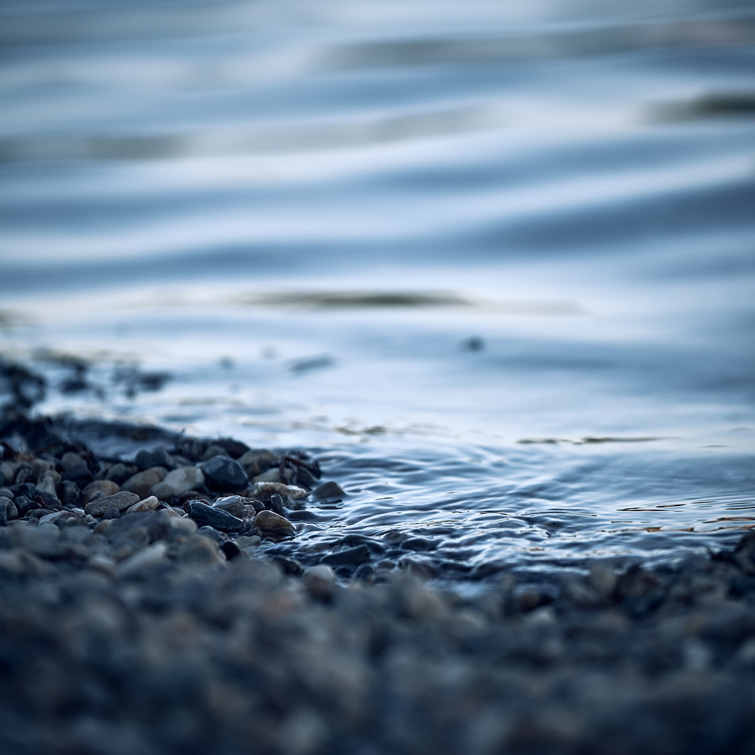 Click to enlarge the photograph Photo 39 from Igor Maric's photography collection