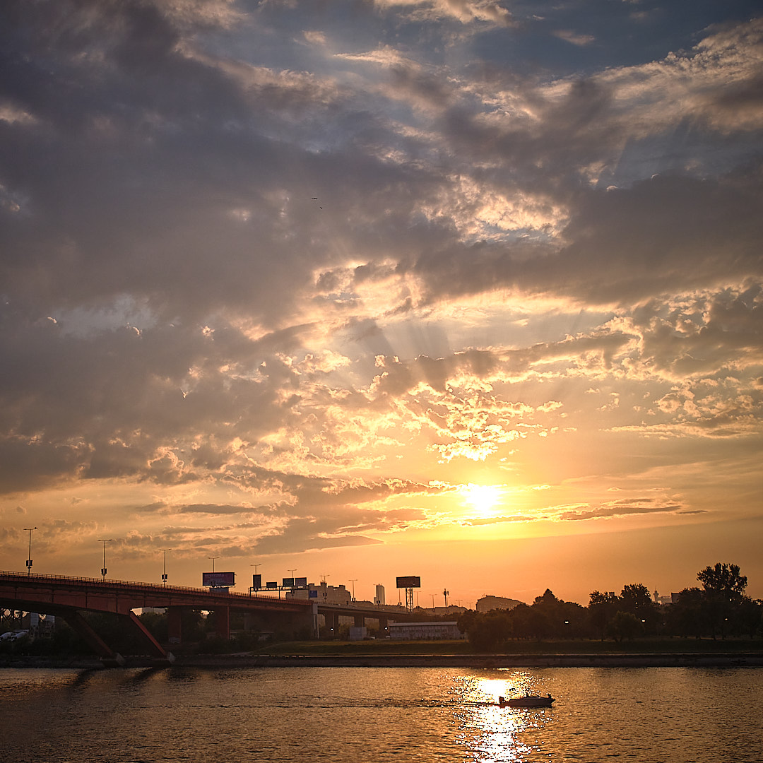 Click to enlarge the photograph Photo 37 from Igor Maric's photography collection