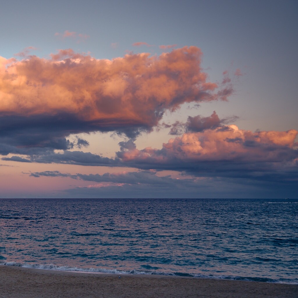 Click to enlarge the photograph Photo 6 from Igor Maric's photography collection